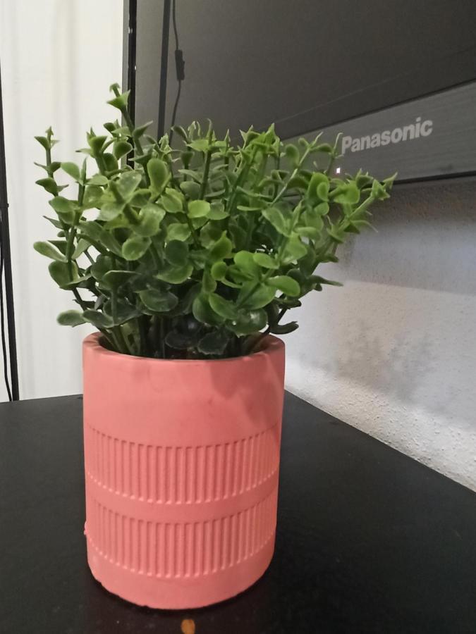 Appartamento Al Rosa Esperanca